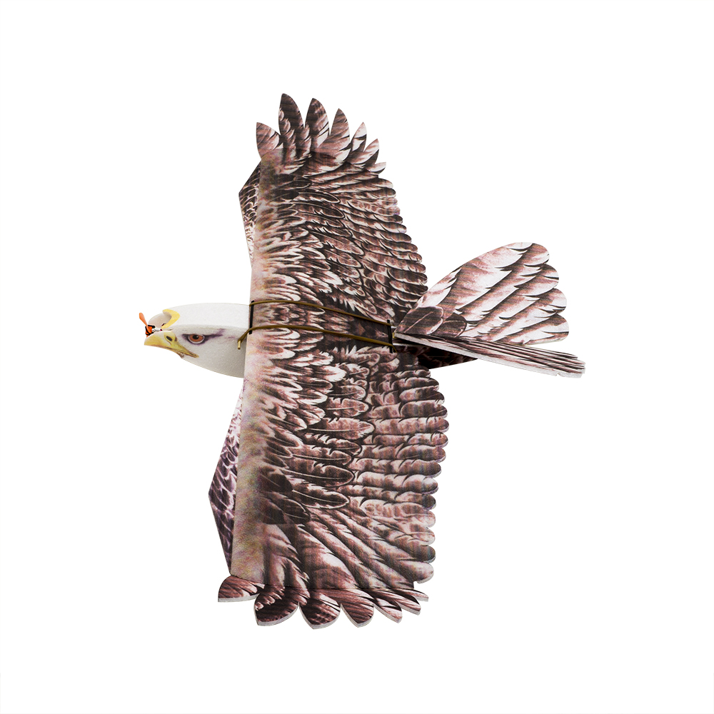 Model Kit Expert - DW Hobby Eagle II EPP Avião